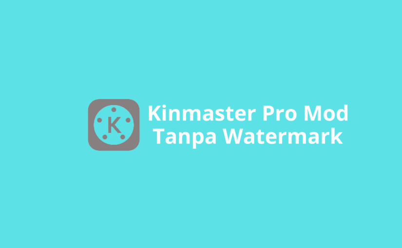 Kinmaster Pro